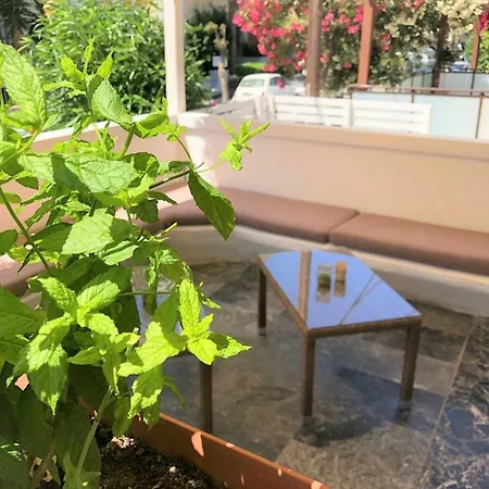 Mimosa Apartmanhotel 2*