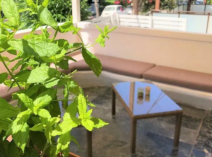 Mimosa Hotel apartamentowy 2*